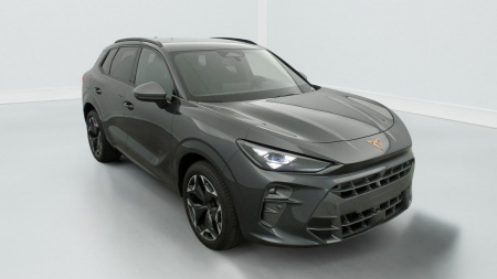 345217_p2 - CUPRA - TERRAMAR - 2025