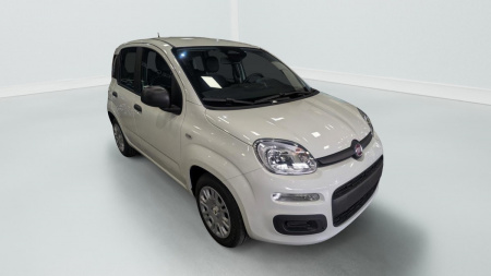 362551_p2 - FIAT - PANDA - 2025