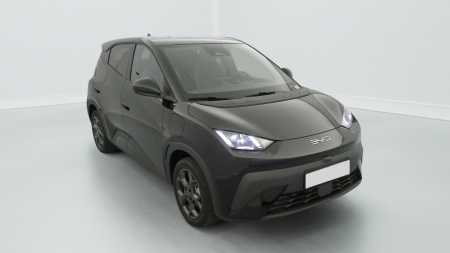 378122_p2 - BYD - DOLPHIN SURF - 2025