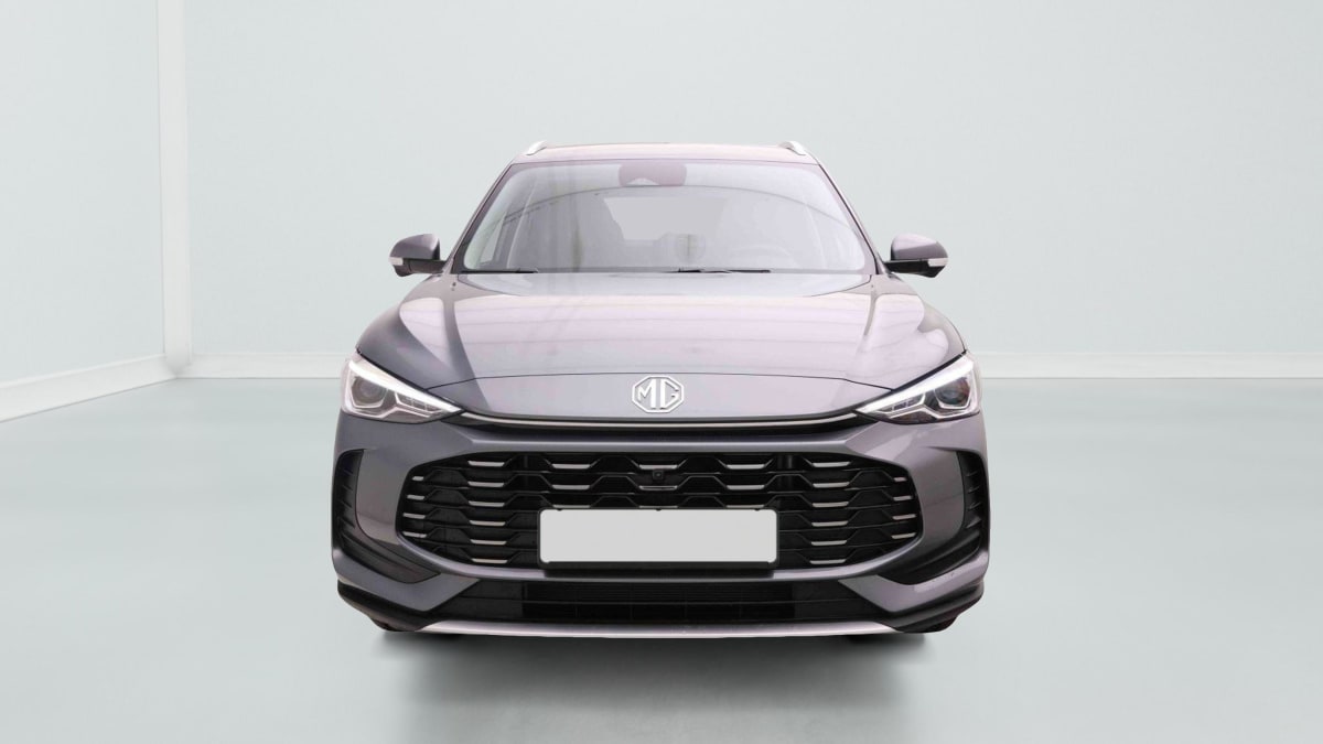 391428_p2 - MG - ZS - 2026 - photo 2