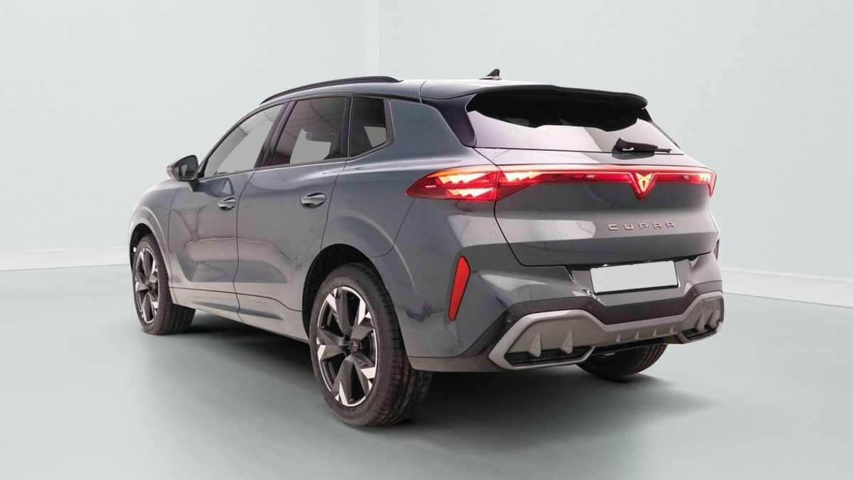 389660_p2 - CUPRA - TERRAMAR - 2026 - photo 3