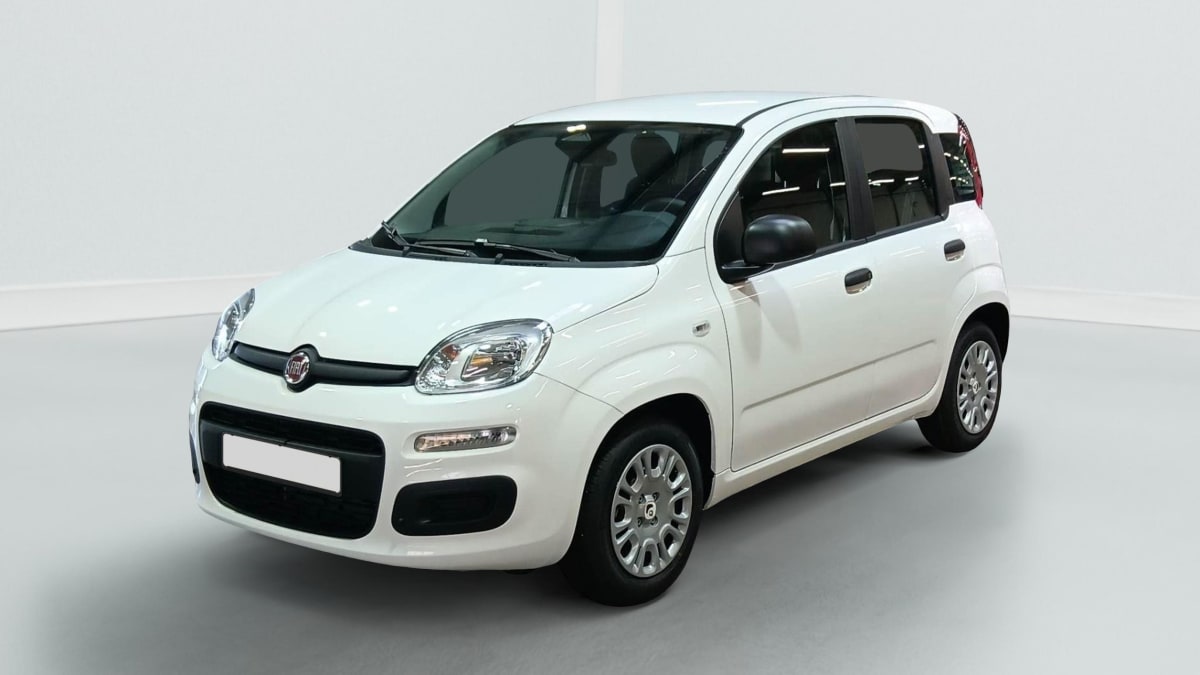 396188_p2 - FIAT - PANDINA - 2026 - photo 2