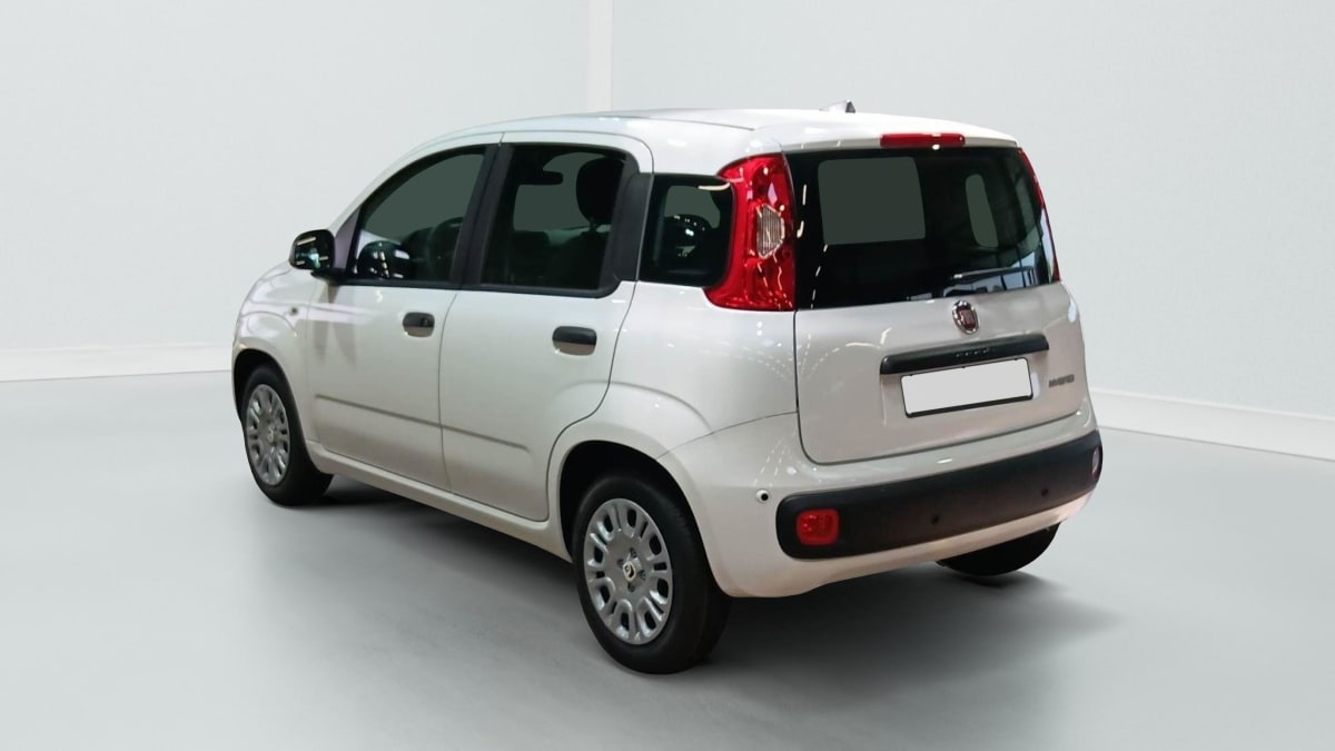 396188_p2 - FIAT - PANDINA - 2026 - photo 3