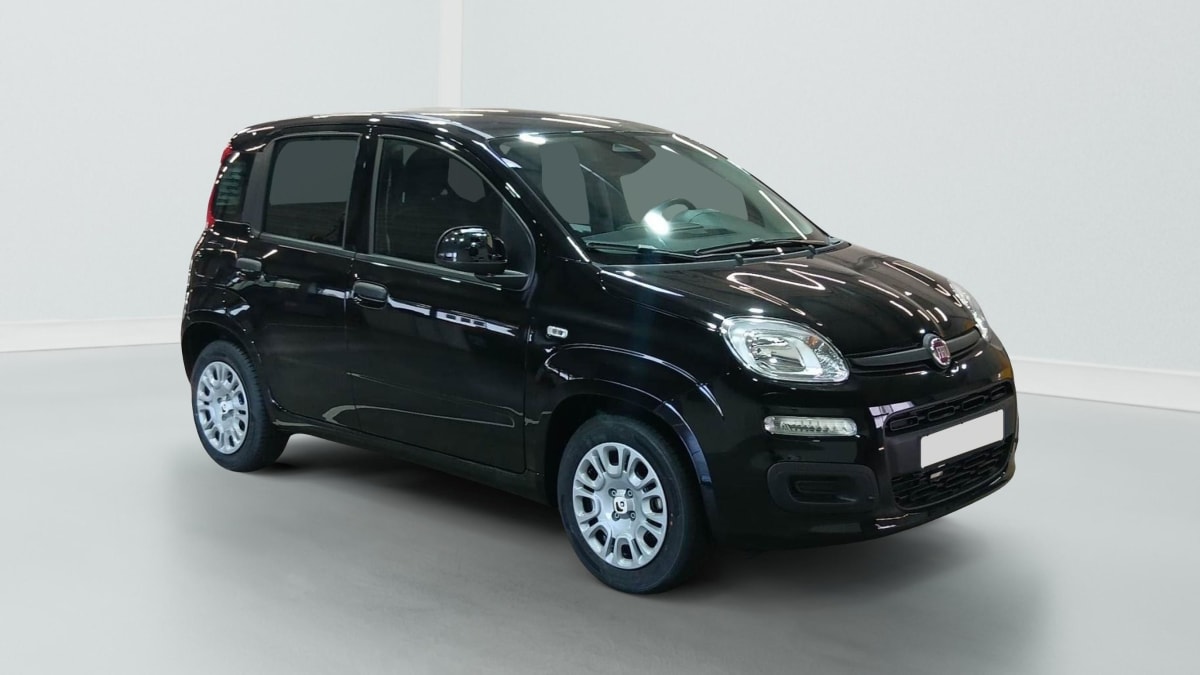 396191_p2 - FIAT - PANDINA - 2026 - photo 1