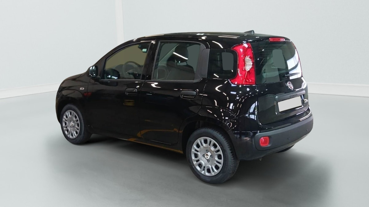 396191_p2 - FIAT - PANDINA - 2026 - photo 3